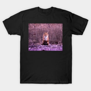 HAPPY Fox Pattern T-Shirt